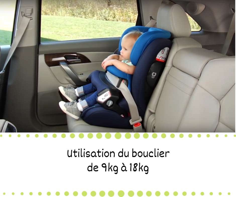 siege auto joie bouclier